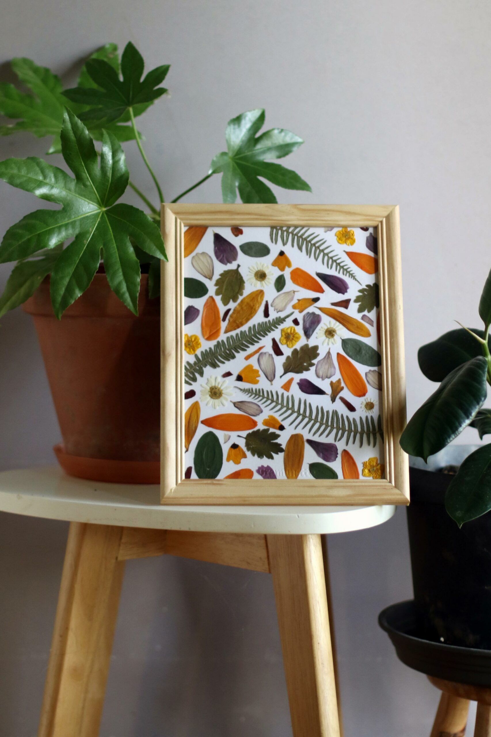 ATELIER HERBIER <br> Fleurs pressées – Image 3