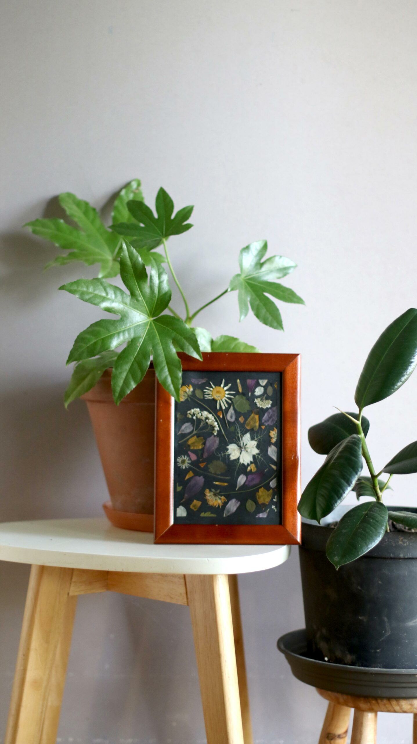 ATELIER HERBIER <br> Fleurs pressées – Image 6