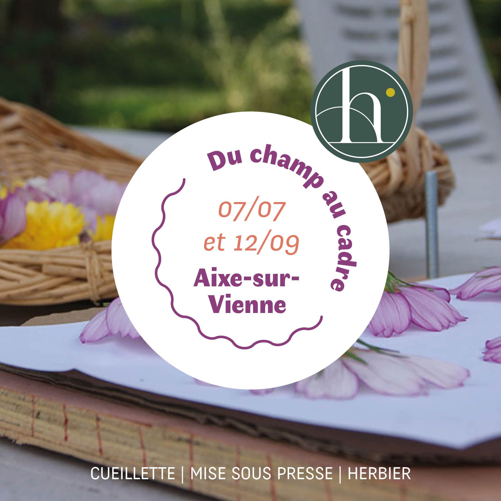 Vignette d'un atelier cueillette, mise sous presse et herbier dans une ferme florale en Limousin / Haute-Vienne / Correze